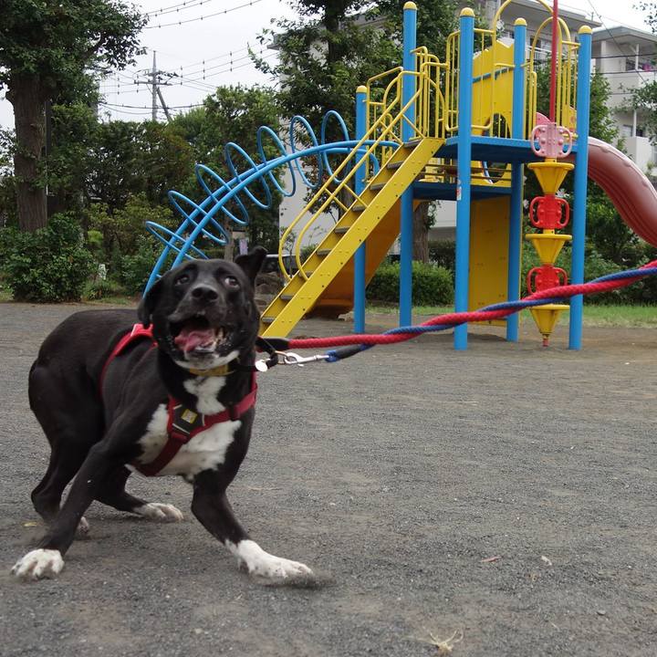 Db3c075e 7496 4426 9f80 fe5336a6ee87 1598139119243