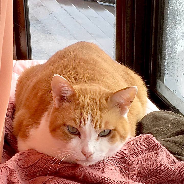 Db3c9a1c 1d3d 44fb ae85 12b5ccc36631 1583737155921