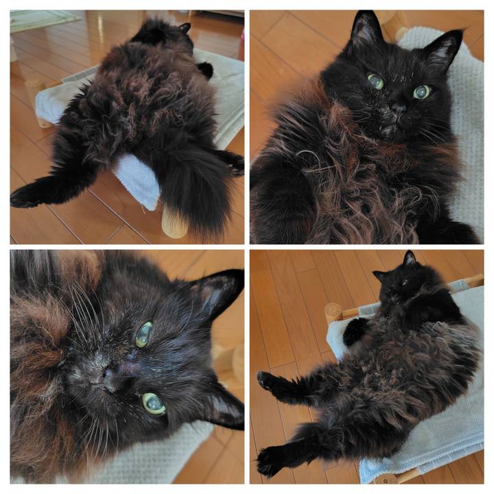 Db3cc16f 8e7f 424e 9135 add3449e2213 1734130165272