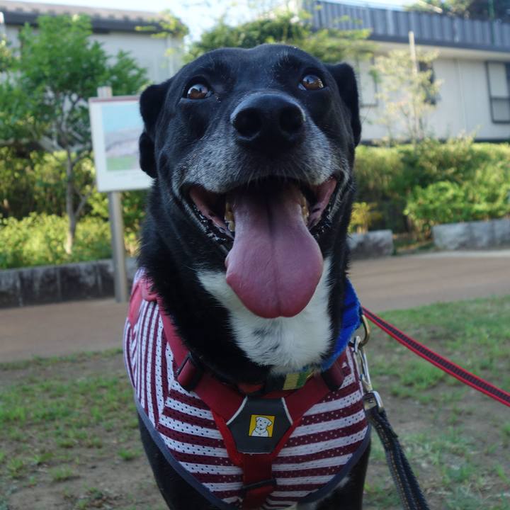 Db3cc1ae 5d94 4c24 926e 4f15e6247ad8 1689637614082