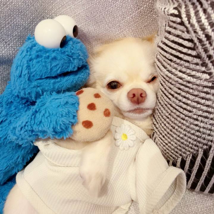 Db3cc9c1 6577 42ab 8acf 315b6e398f82 1696326953453