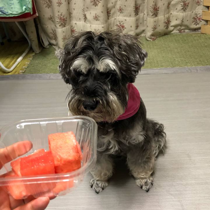 Db3cccfa 7944 4853 9d3d 3e6687c8e323 1564065085834