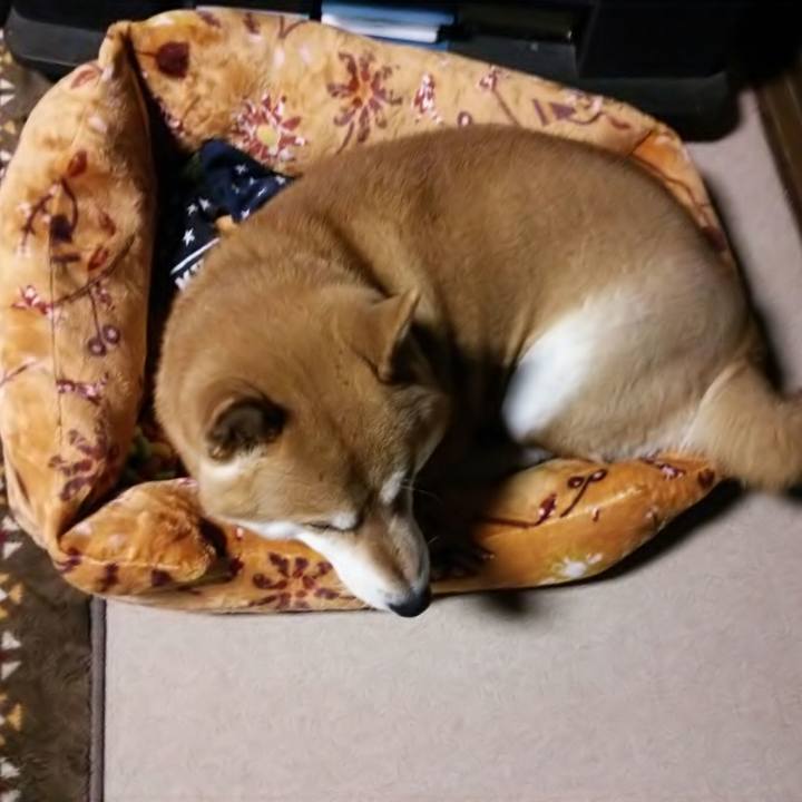 Db3ccfeb d96b 42f6 8a4d faff84311089 1544514840666