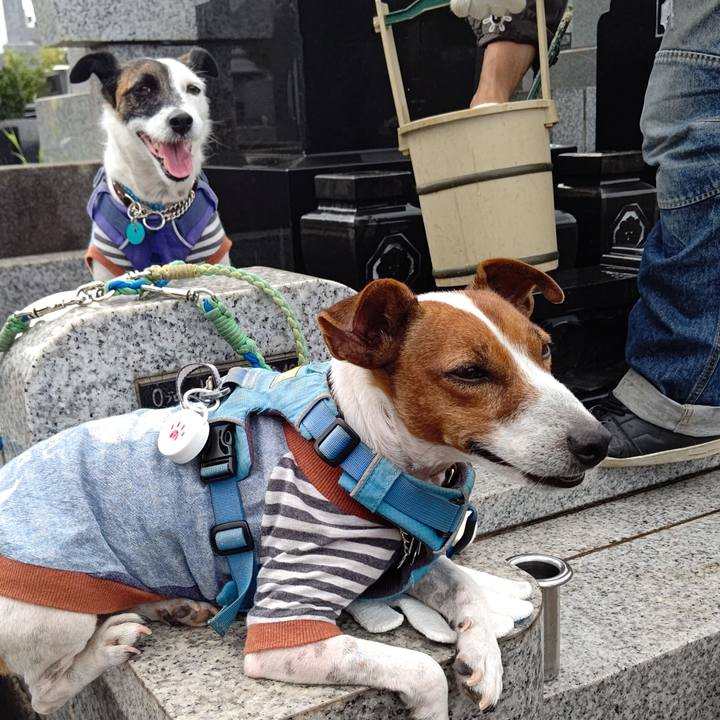 Db3ceee4 2c91 43e4 8be9 0abecc7b6ba4 1663396514609