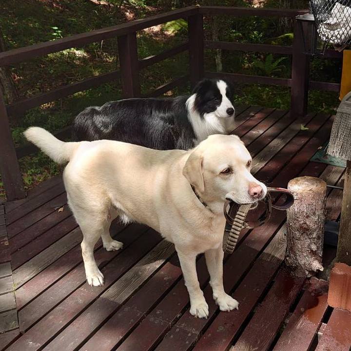 Db3cfaec 31ed 4e80 ada4 73fe14093252 1723175386588