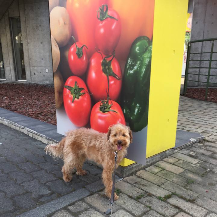 Db3d39e3 5aae 4660 9b79 ff708f8f298f 1524293844160