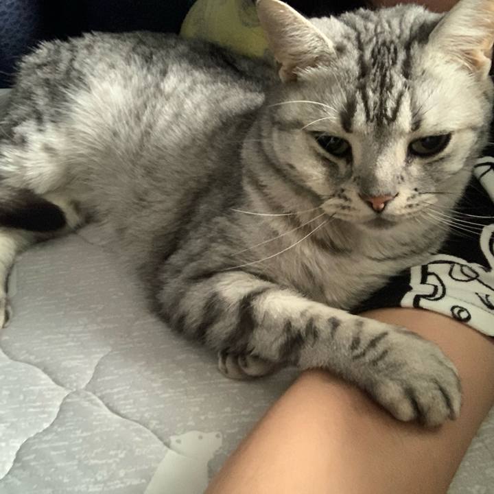 Db3d882b 452e 4a2e 9cee 7d7395d0a3fb 1655337042803