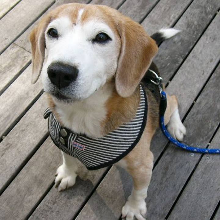 Db3db54a bf99 4658 acca 54cb1e1554f6 1658360140265