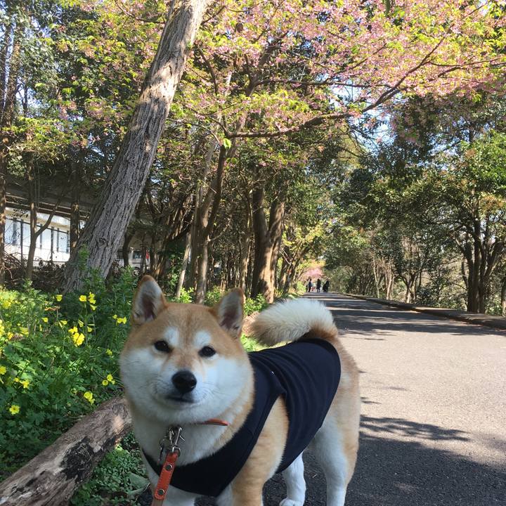 Db3e0758 3131 4b8f a256 5e11521e0986 1552626218078