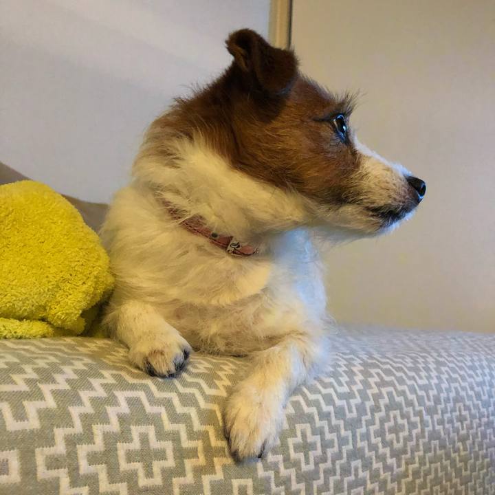 Db3e2449 ea40 4203 98d6 428ea12a84f1 1616581198592