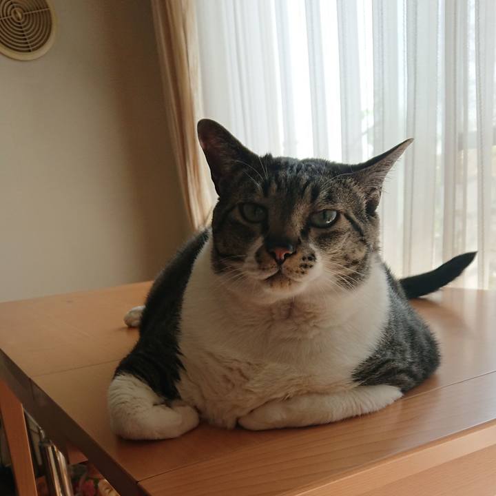 Db3e31f8 d230 46df 9e1a 33b43c3f04fc 1526597309579