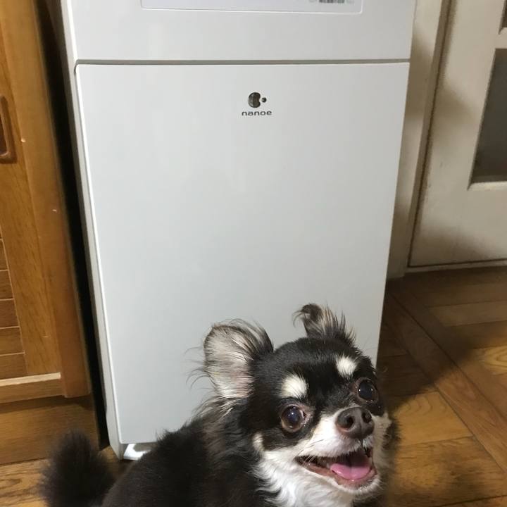 Db3e4b51 9f32 49ca b203 14ce6ecc0cfc 1536559414148