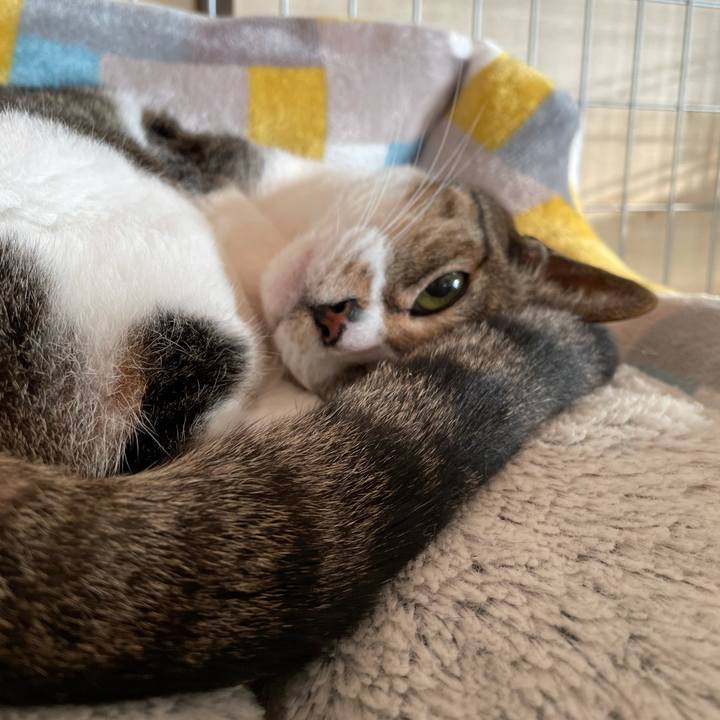 Db3e938b 3e86 4b37 89f9 c137f7a51071 1616021237393