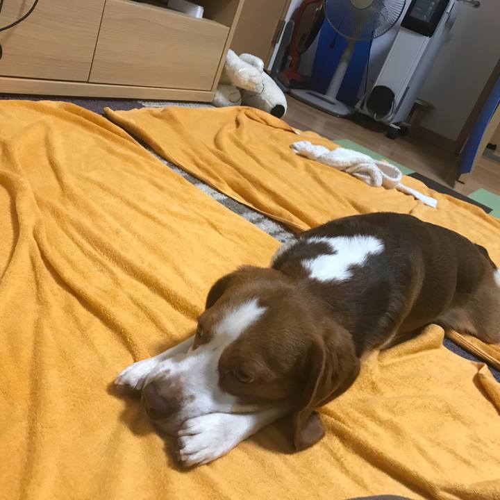 Db3ecc69 fe1c 433c b110 64598b9252d0 1525351308281