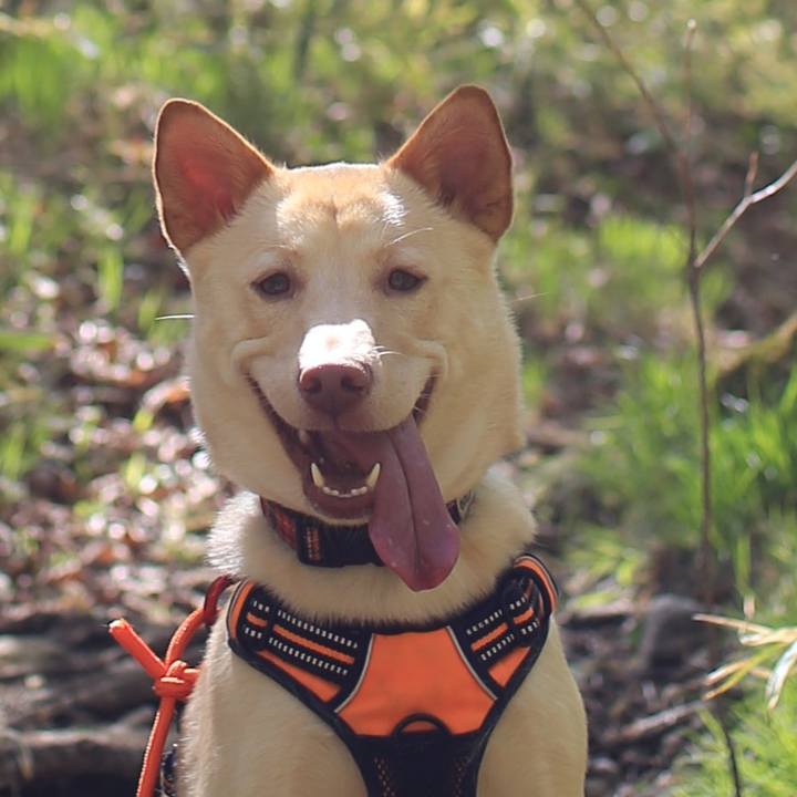 Db3f0f1b da86 4922 81cc 330bc5d86c46 1557206476026