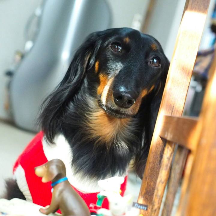 Db3f1805 9076 48e2 8d38 e8e01e11691b 1514076900219