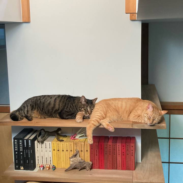 Db3f60e7 2090 4920 b721 df86abcc76f4 1756906831198