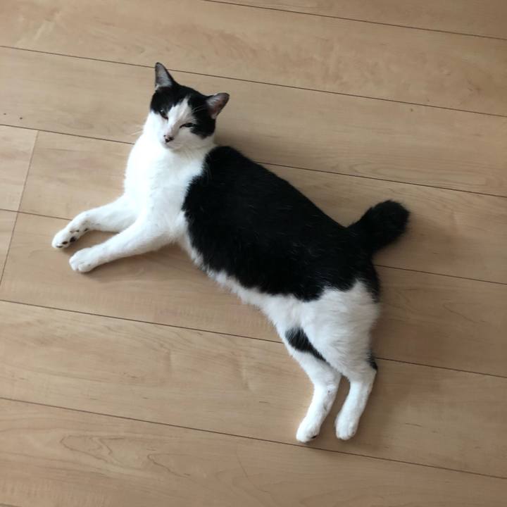 Db3f6423 de6c 4e66 b72f fb310a2c8e94 1596666289023