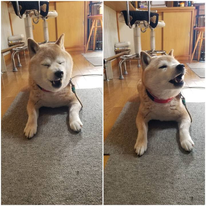 Db3f739d 4654 467a bdea 2778eccb2db3 1711753581604