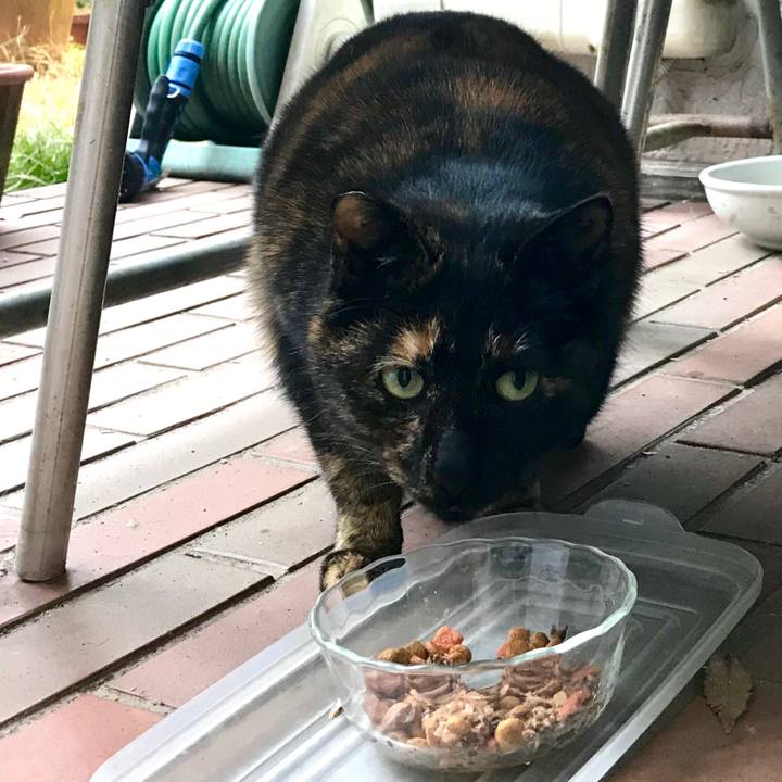 Db3fb8eb fc7a 41ec 8492 fc9359319475 1515208635821