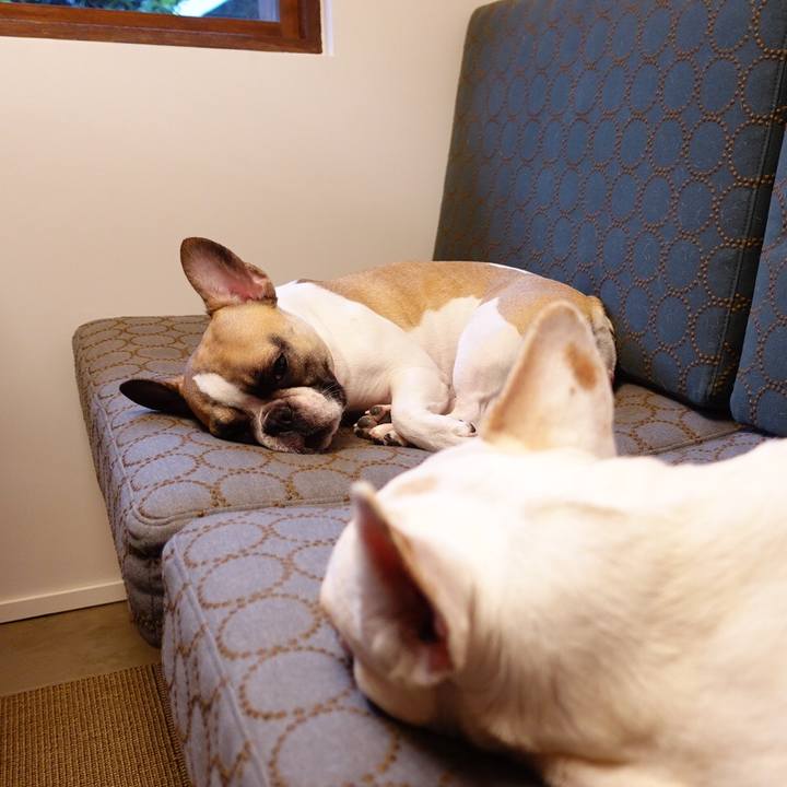 Db3fba58 9570 4fbb a818 e081f06f5963 1585297009181