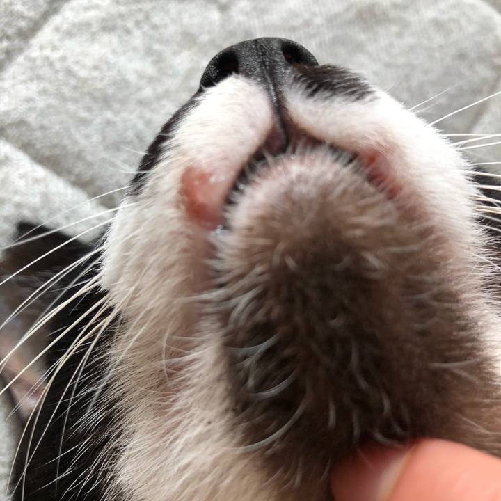 Db3fba8c 2559 4f55 9a71 448a50886555 1639395942720