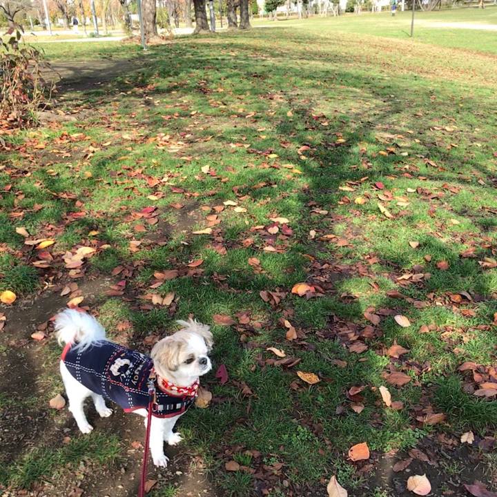 Db3fe09d 11fe 4993 bde8 eb6ec25bc73a 1544651618153