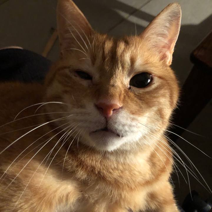 Db400bf0 29f6 4d6d b9ba 03150d559ce6 1686139085190