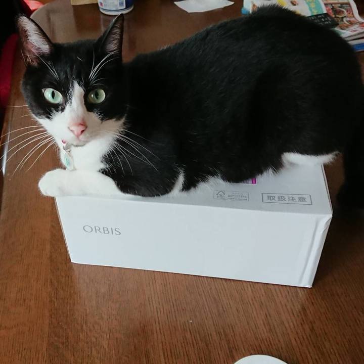 Db401056 6f42 4106 81ef 39775e3ee26b 1661562024586