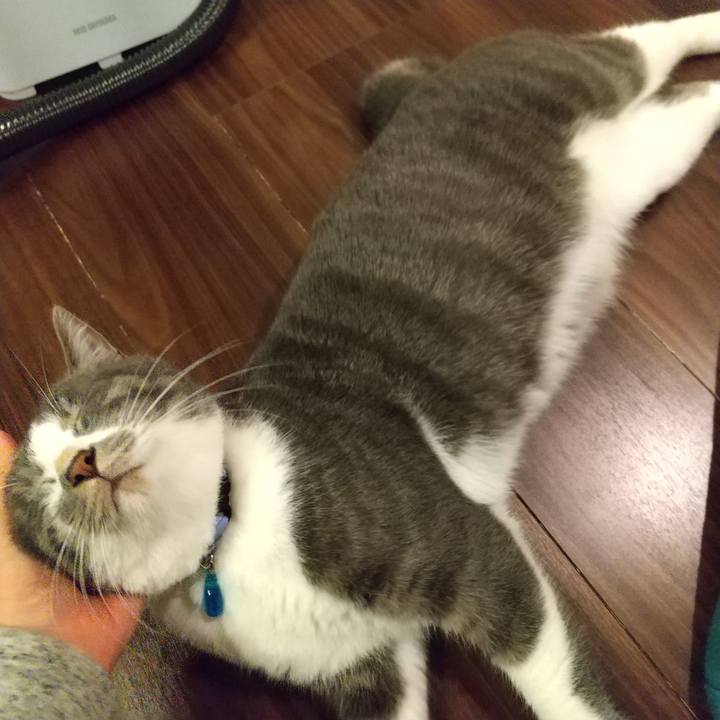 Db40248b dad4 4257 8bfc 84b7822ca59a 1606824251158