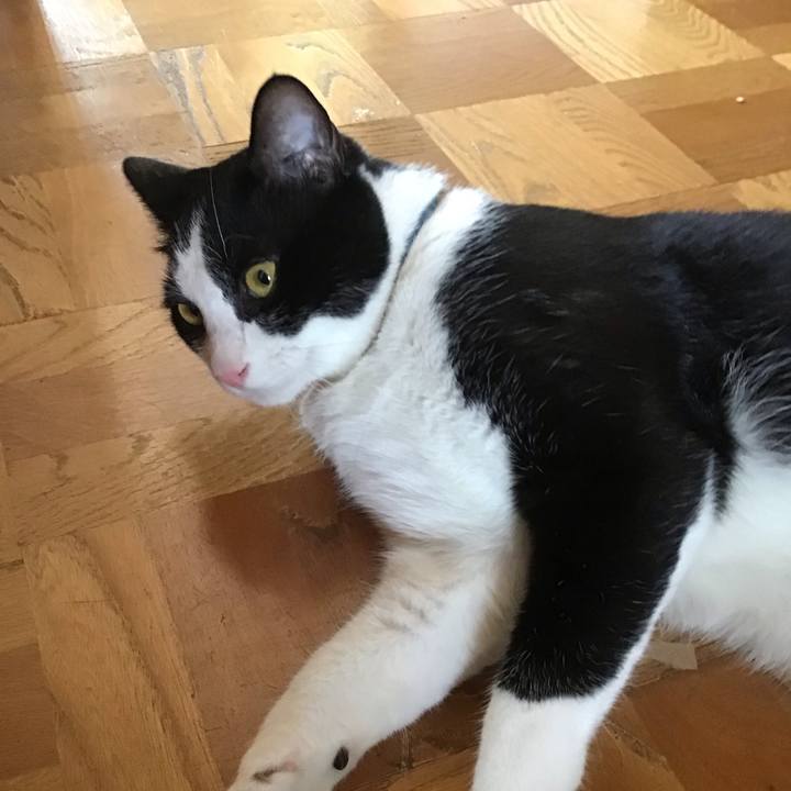 Db405439 f2d1 4767 b0aa a870aa93ac77 1658556873464