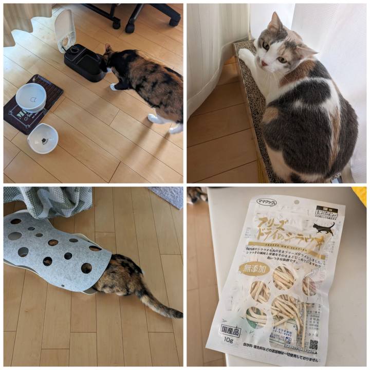 Db408786 4f35 42a3 87bd 295b2684b701 1688356362801