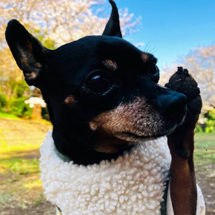 Db40d62c aac9 4478 a17e 5619d2203f32 1743891855152