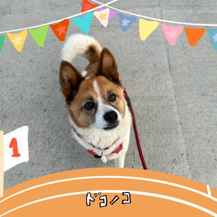 Db40ea20 2e7e 4a38 975e 951795f08a81 1761253411947