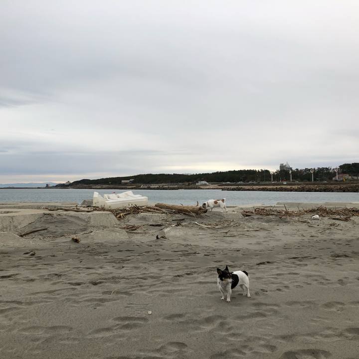 Db40eee6 a451 4468 9365 bf276a843a1f 1575246240364