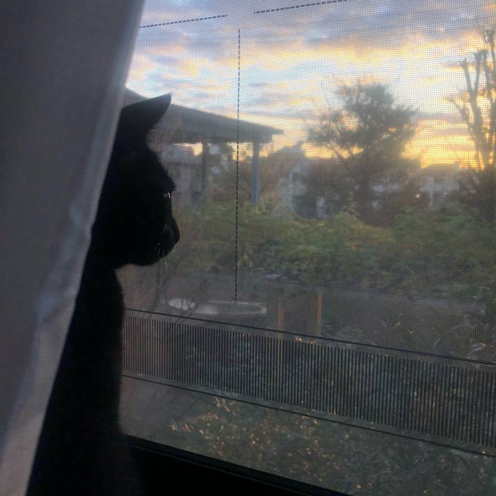 Db410323 b9d0 499e 8036 7df8a9a45c66 1607037146807