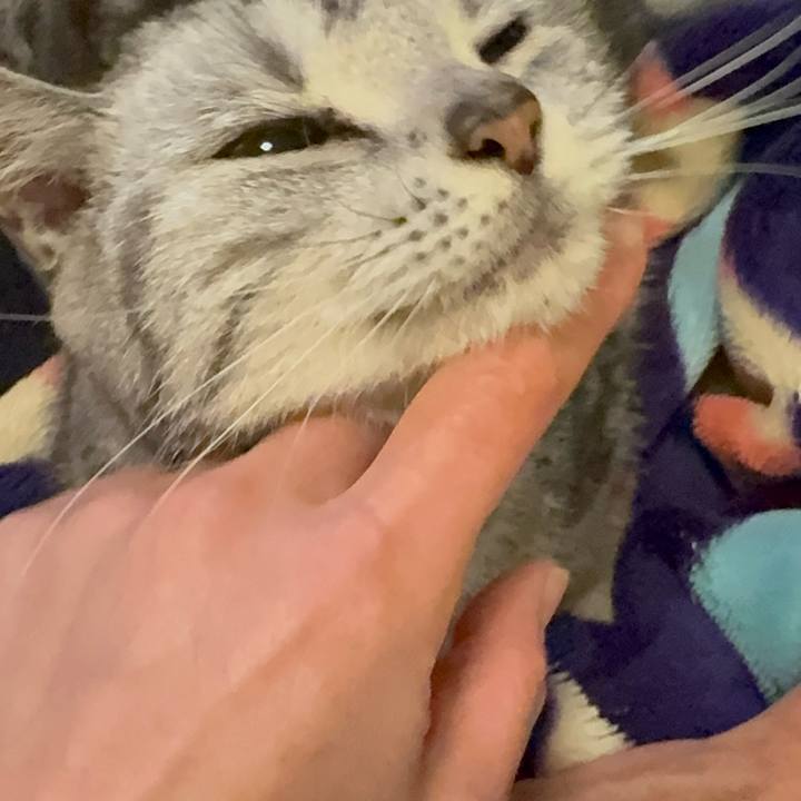 Db410430 9631 48e7 b08d cf236d20600c 1769684613206