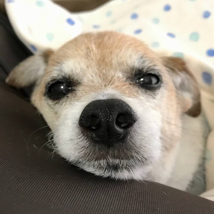 Db411a02 583e 4c9e 89d2 95bb9933c211 1650924013116