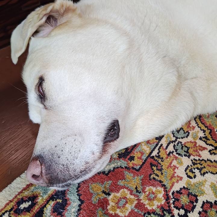 Db411c9b 16a6 4c02 a958 d7a38fc11e34 1749361011208