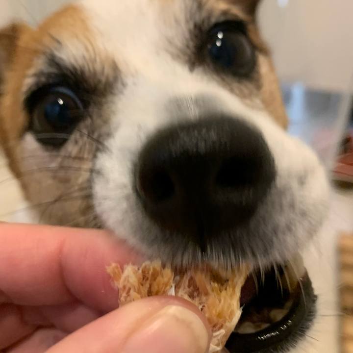 Db412406 e104 4ccb 983f 3eb698c8f29e 1625055129636