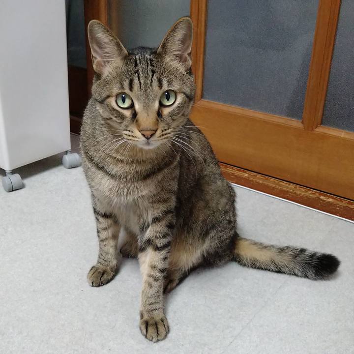 Db41354a 458d 4f6e 9500 592f1735bace 1627465476652