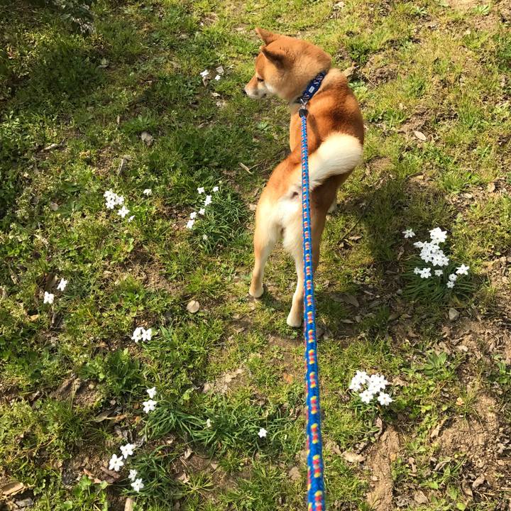 Db414de5 44c4 4e09 95e8 61e8b8f557ee 1553665744430