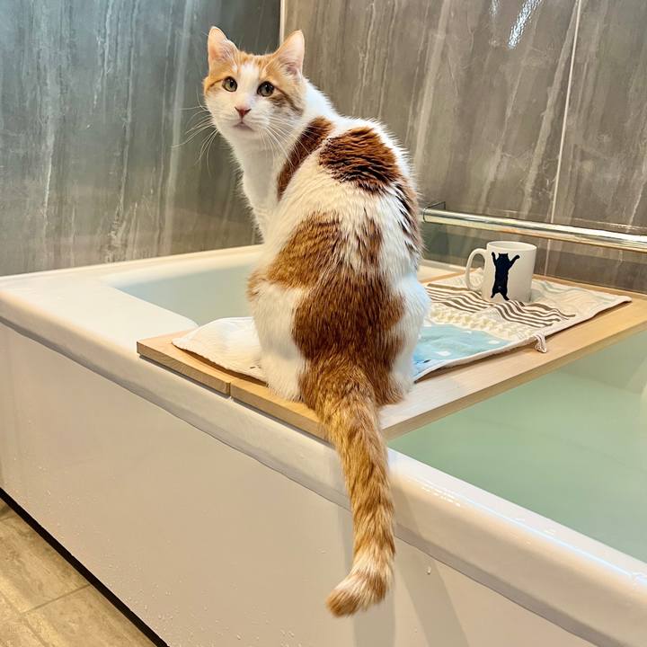 Db416f8e 16eb 4ef7 bfeb 39f543bf239e 1771031931872