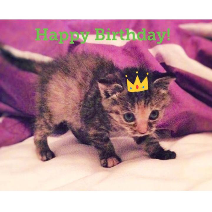 Db41c036 47ba 496e bacf 1be3ffcc460b 1621345060647