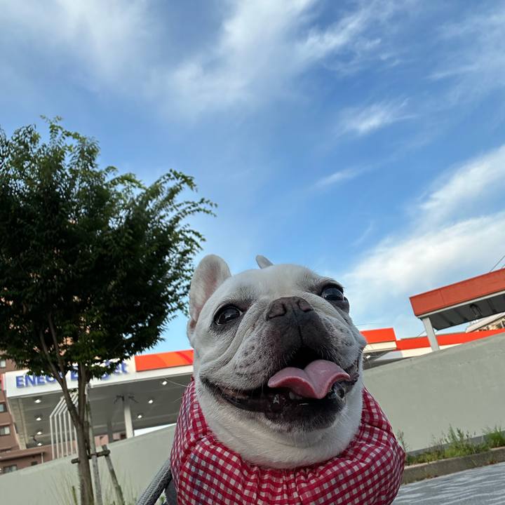 Db41e2b6 d5f0 4012 b36b b7edd7b2d900 1688337129460