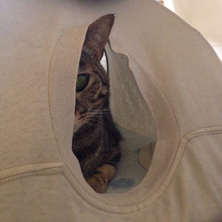 Db42303b 2bc9 48da b55d e03c7d136bcc 1513441038291