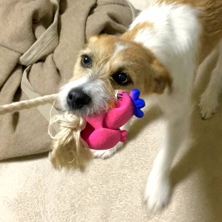 Db4244d6 372c 4315 8a80 553bb718552e 1547819422331