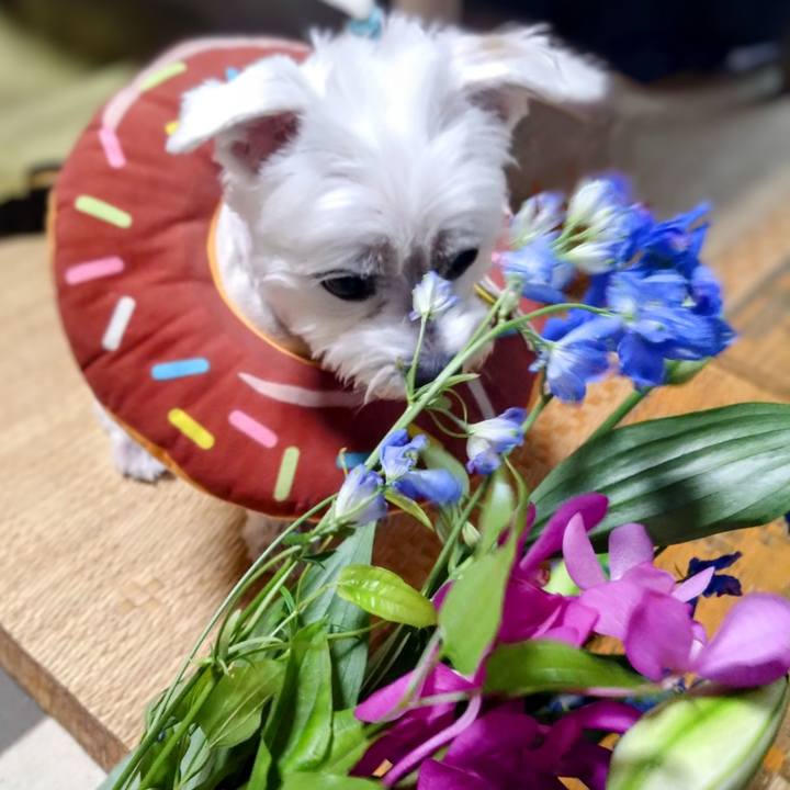 Db428fd9 f40d 4570 9ce5 69761fac7ab0 1751619654435