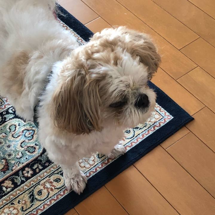 Db429b83 47ef 4fd0 a569 bb2e87d0e6d5 1541195533144