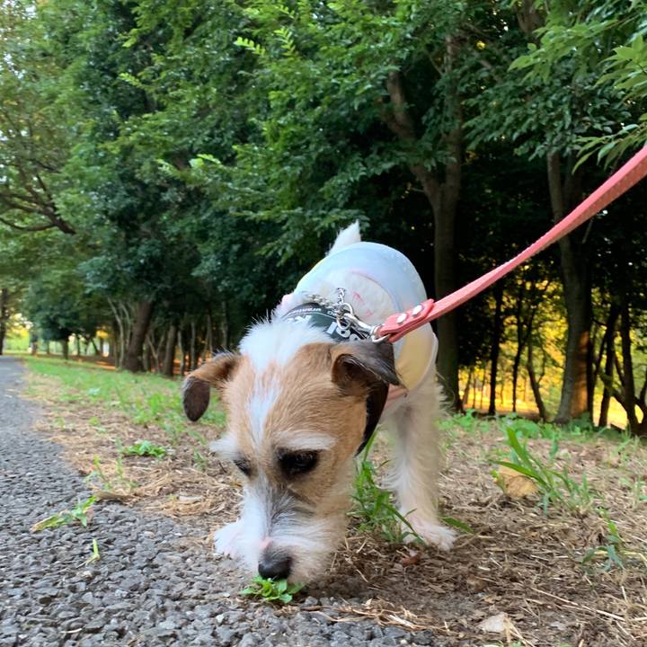 Db42a905 8e34 4db6 a433 675f4128760c 1598522006491